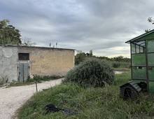 Foto Cometa 9 — Terreno Agricolo Albano Laziale