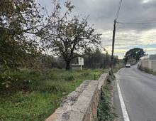Foto Cometa 15 — Terreno Agricolo Albano Laziale