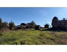Foto Cometa 8 — Einfamilienhaus zum Verkauf in San Cesareo