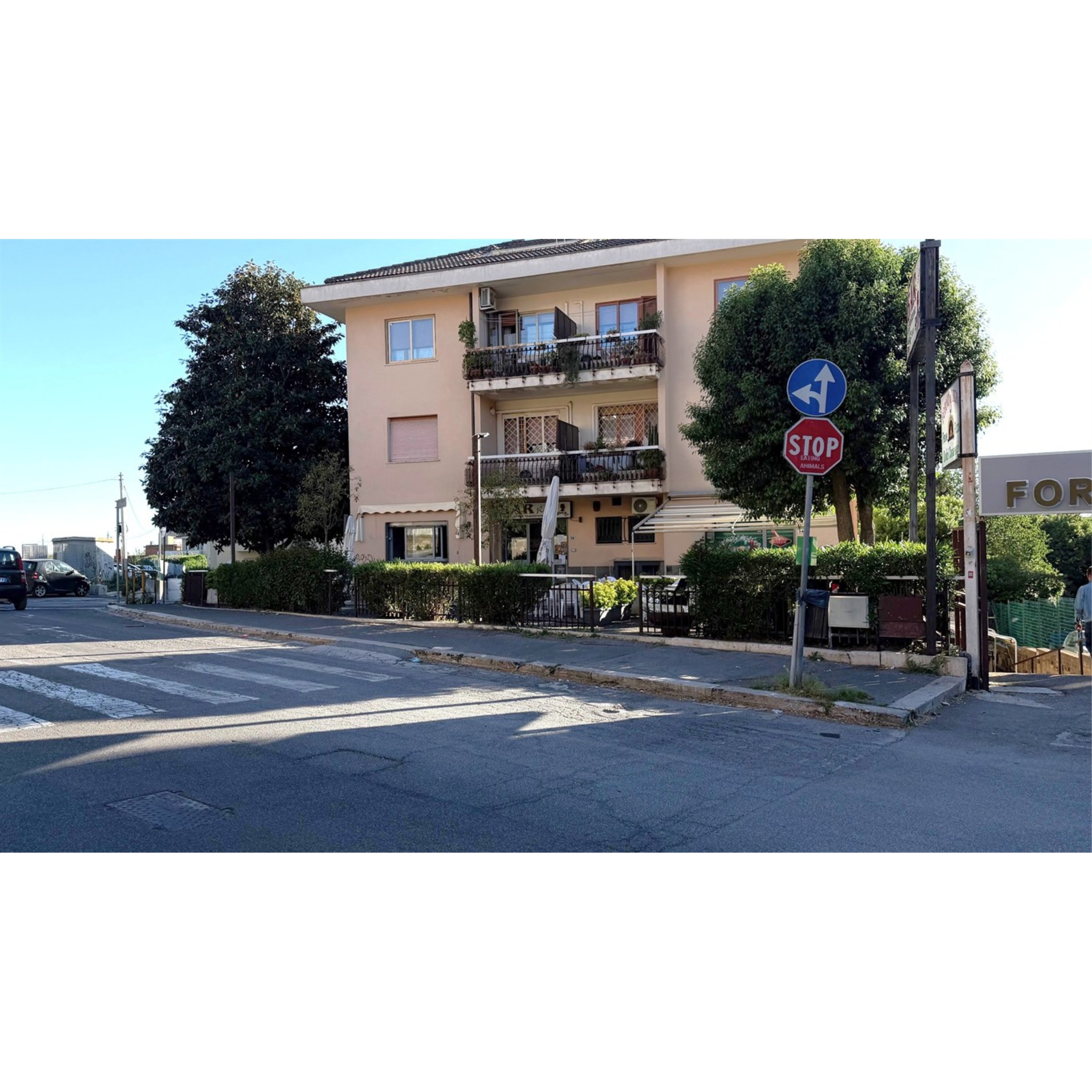 Foto Cometa 1 — Negozi - Locali commerciali Albano Laziale
