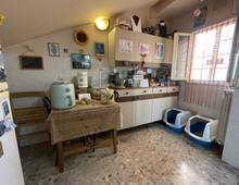 Wohnung zum Verkauf in Rom Pietralata