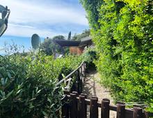 Villa zum Verkauf in Castiglione della Pescaia Punta Ala