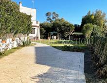 Villa zum Verkauf in Tarquinia Marina Velca