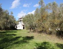Splendido Casale Da Ultimare Immerso nel Verde delle Colline Pisane della Valdera