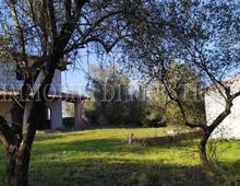 Splendido Casale Da Ultimare Immerso nel Verde delle Colline Pisane della Valdera
