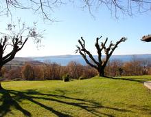 Fattoria delle Tartarughe. Incantevole Villa sul Lago