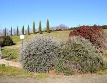 Fattoria delle Tartarughe. Incantevole Villa sul Lago