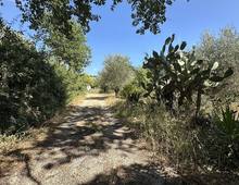 Foto Cometa 2 — Agricultural land for sale in Ariccia