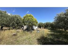Foto Cometa 4 — Agricultural land for sale in Ariccia