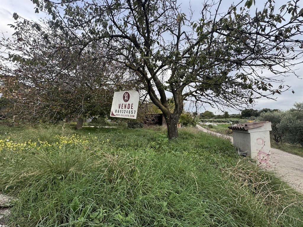 Foto Cometa 1 — Terreno Agricolo Albano Laziale