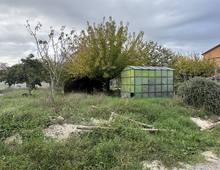 Foto Cometa 8 — Terreno Agricolo Albano Laziale