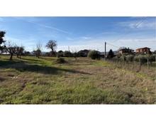 Foto Cometa 4 — Detached house for sale in San Cesareo