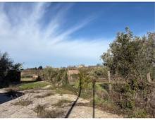 Foto Cometa 19 — Detached house for sale in San Cesareo