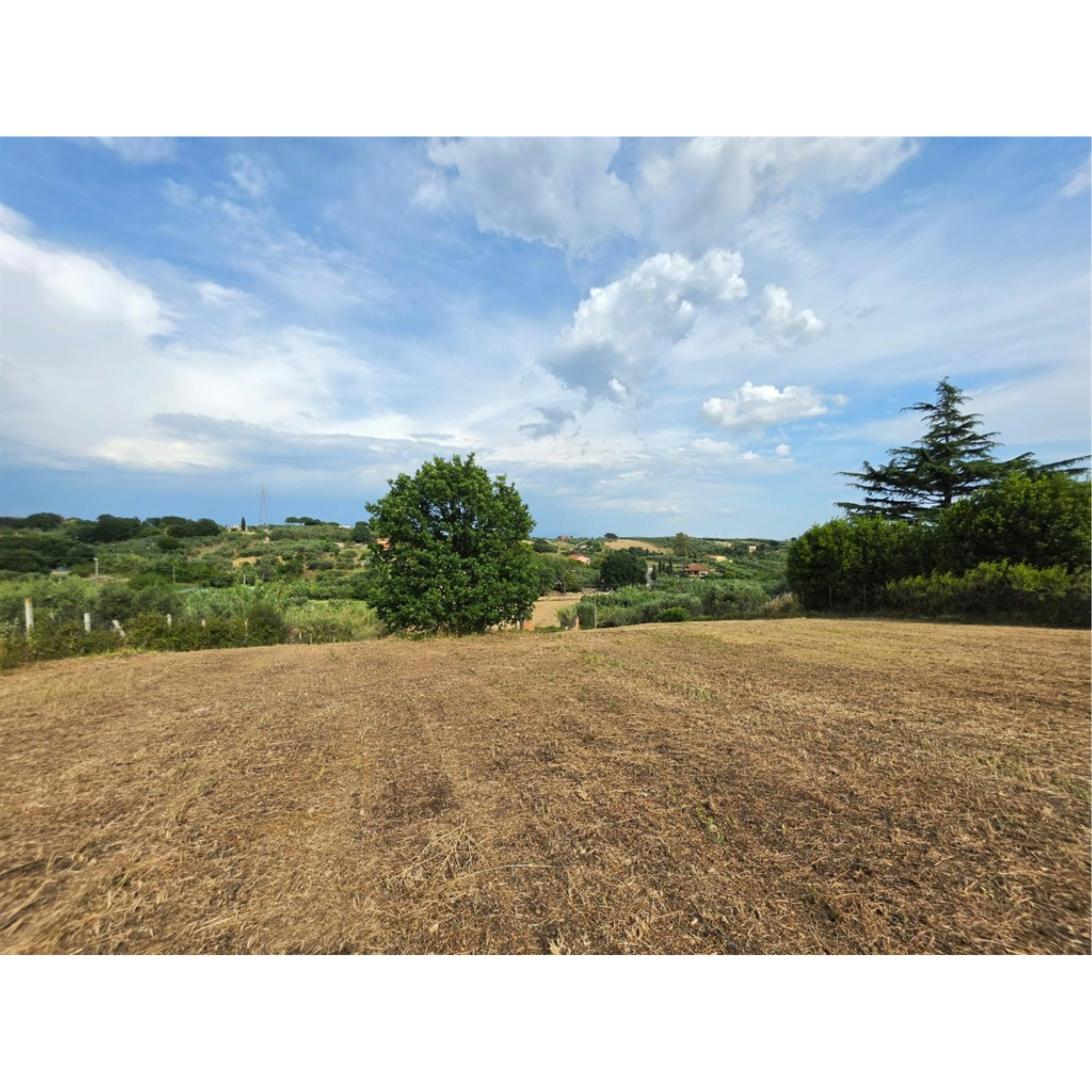 Foto Cometa 1 — Land for sale in Lanuvio