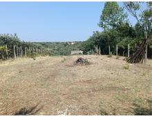 Foto Cometa 2 — Land for sale in Lanuvio Stragonello