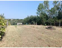 Foto Cometa 3 — Land for sale in Lanuvio Stragonello