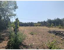 Foto Cometa 12 — Land for sale in Lanuvio Stragonello