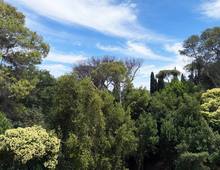 Penthouse for sale in Rome Piazza delle Muse