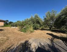 Foto Cometa 20 — Detached house for sale in Velletri