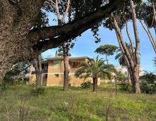 Villa Franca, a Pochi Passi dal Mare