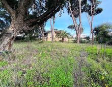 Villa Franca, a Pochi Passi dal Mare