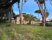 Villa Franca, a Pochi Passi dal Mare
