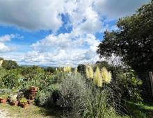 Villa in Bifamilare in Stile Toscano