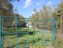 Detached house for sale in Palaia Usiglian Del Vescovo