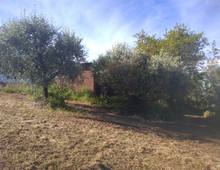 Foto Cometa 7 — Agricultural land for sale in Lanuvio