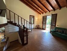 Villa for sale in Scansano Scansano - Cantine Morellino
