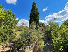 Villa for sale in Scansano Scansano - Cantine Morellino