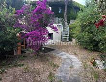 Villa en venta en Castiglione della Pescaia Punta Ala
