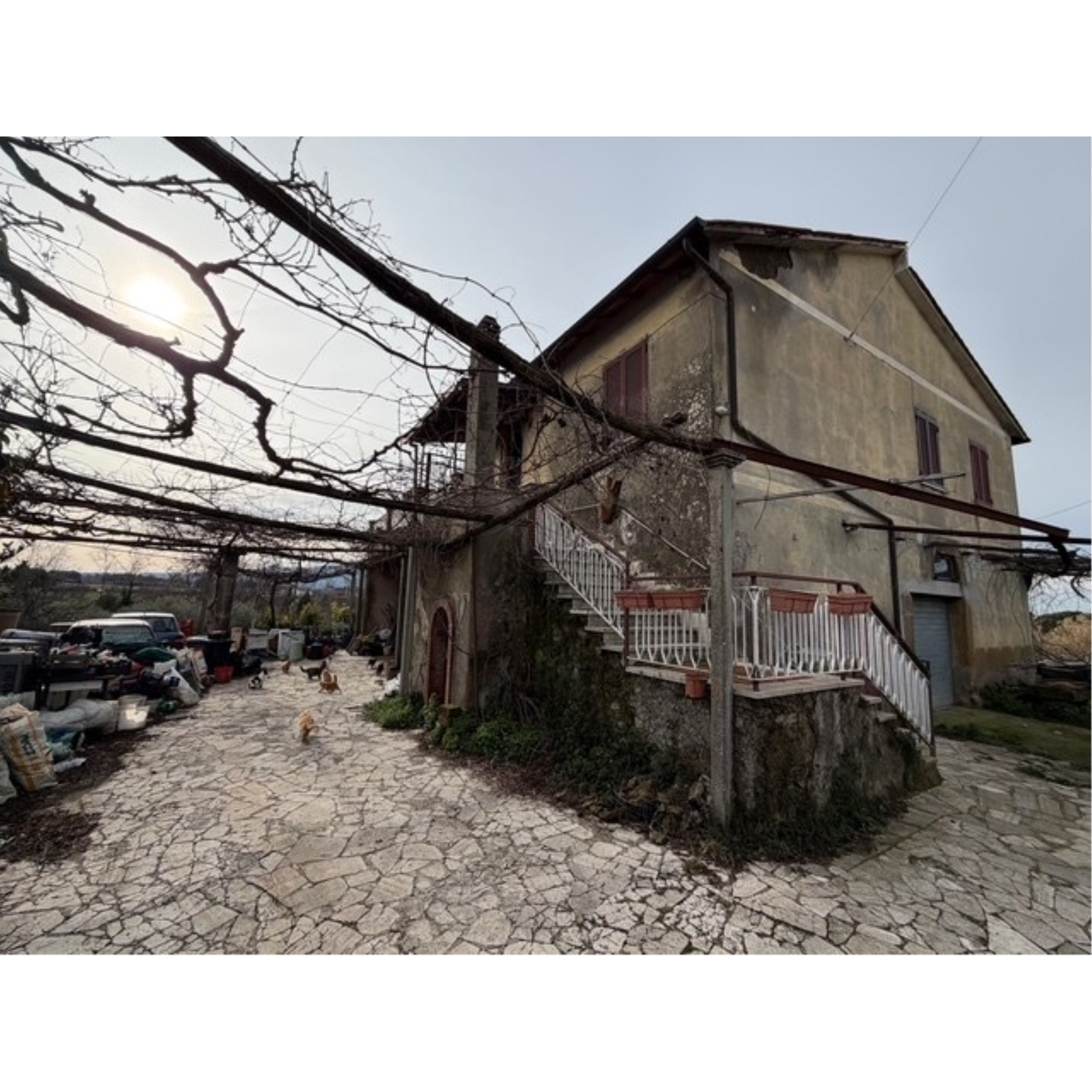 Foto Cometa 1 — Villa o Villetta Zagarolo