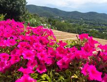 Villa en venta en Castiglione della Pescaia Punta Ala