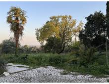 Foto Cometa 6 — Terreno edificabile Velletri