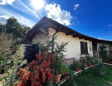 Villa en venta en Scansano Scansano - Cantine Morellino
