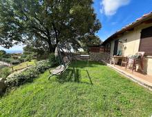 Villa en venta en Scansano Scansano - Cantine Morellino