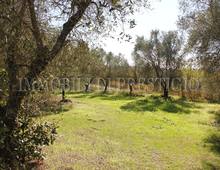 Casa independiente en venta en Palaia Usiglian Del Vescovo