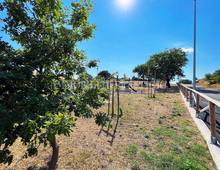 Villa en venta en Scansano Scansano - Cantine Morellino
