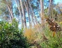 Villa en venta en Sacrofano