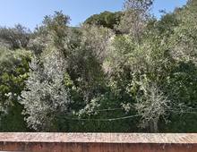 Villa d'epoca con ampi spazi esterni