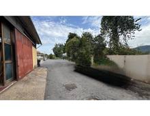 Foto Cometa 3 — Propriété commerciale à vendre à Ariccia
