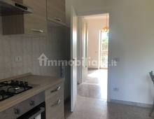 cucina — Appartement en contrat de bail à Pomezia, Santa Palomba