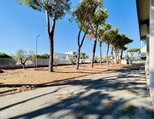 Foto Cometa 17 — Hangar à vendre à Ariccia