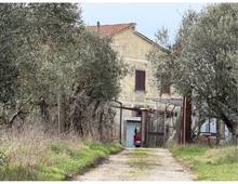 Foto Cometa 19 — Villa à vendre à Zagarolo