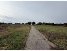 Foto Cometa 21 — Villa à vendre à Zagarolo