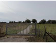 Foto Cometa 24 — Villa à vendre à Zagarolo