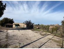 Foto Cometa 1 — Maison individuelle à vendre à San Cesareo