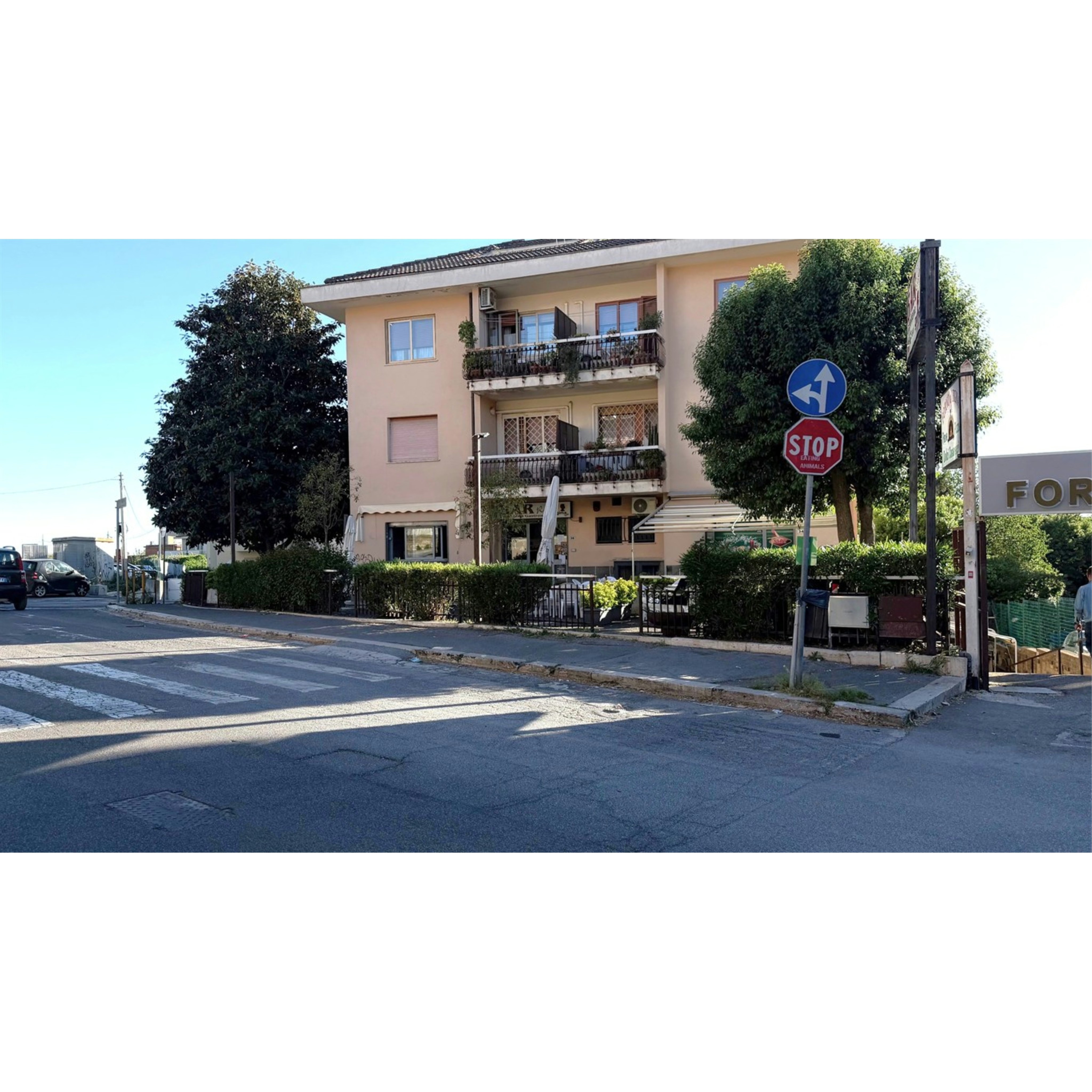 Foto Cometa 1 — Magasin à vendre à Albano Laziale MUSICISTI