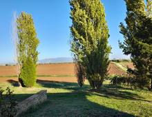 Foto Cometa 6 — Rustique / ferme à vendre à Velletri